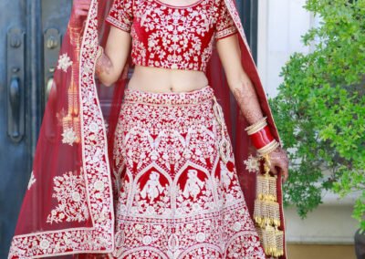 cinecrown-indian-wedding-photographer-bride-stand-arden-hill